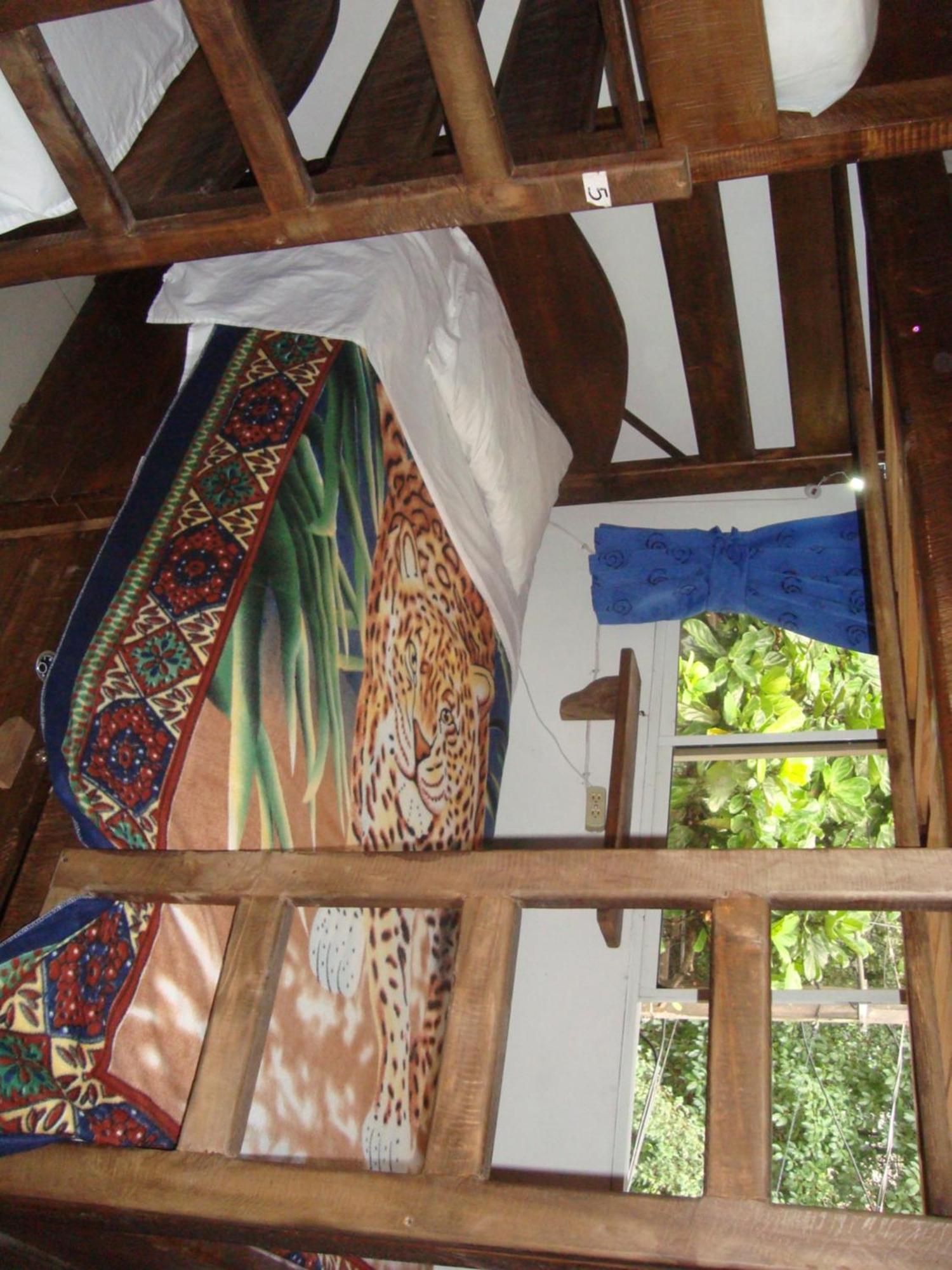 Arcadia Hostel Μεντεγίν Δωμάτιο φωτογραφία